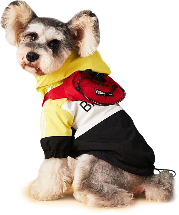 drippy-pets-best-dog-clothing-buy-clothes-for-dogs
