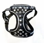 Designer-Harness-Doggy-blvd